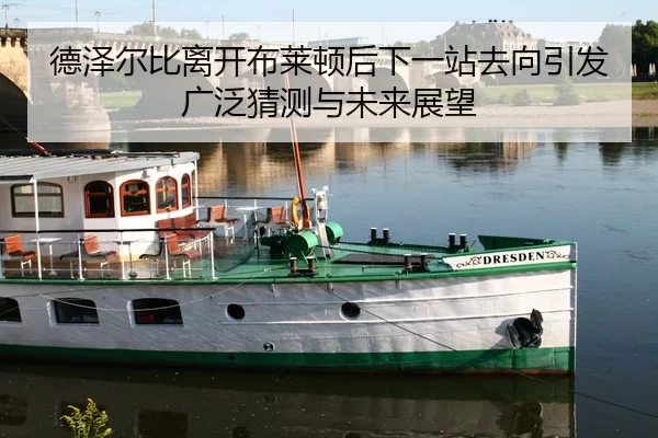 德泽尔比离开布莱顿后下一站去向引发广泛猜测与未来展望